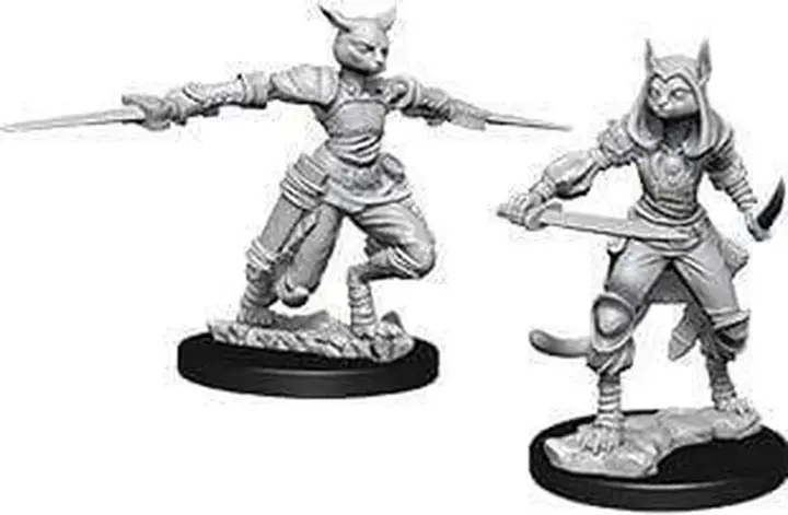 D&D Nolzurs Marvelous Unpainted Miniatures: Wave 9: Female Tabaxi Rogue