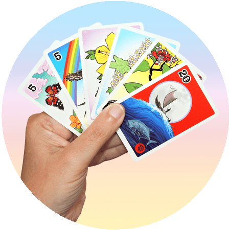 Hanafuda for Beginners: How to Play Koi-Koi & Which Deck to Buy