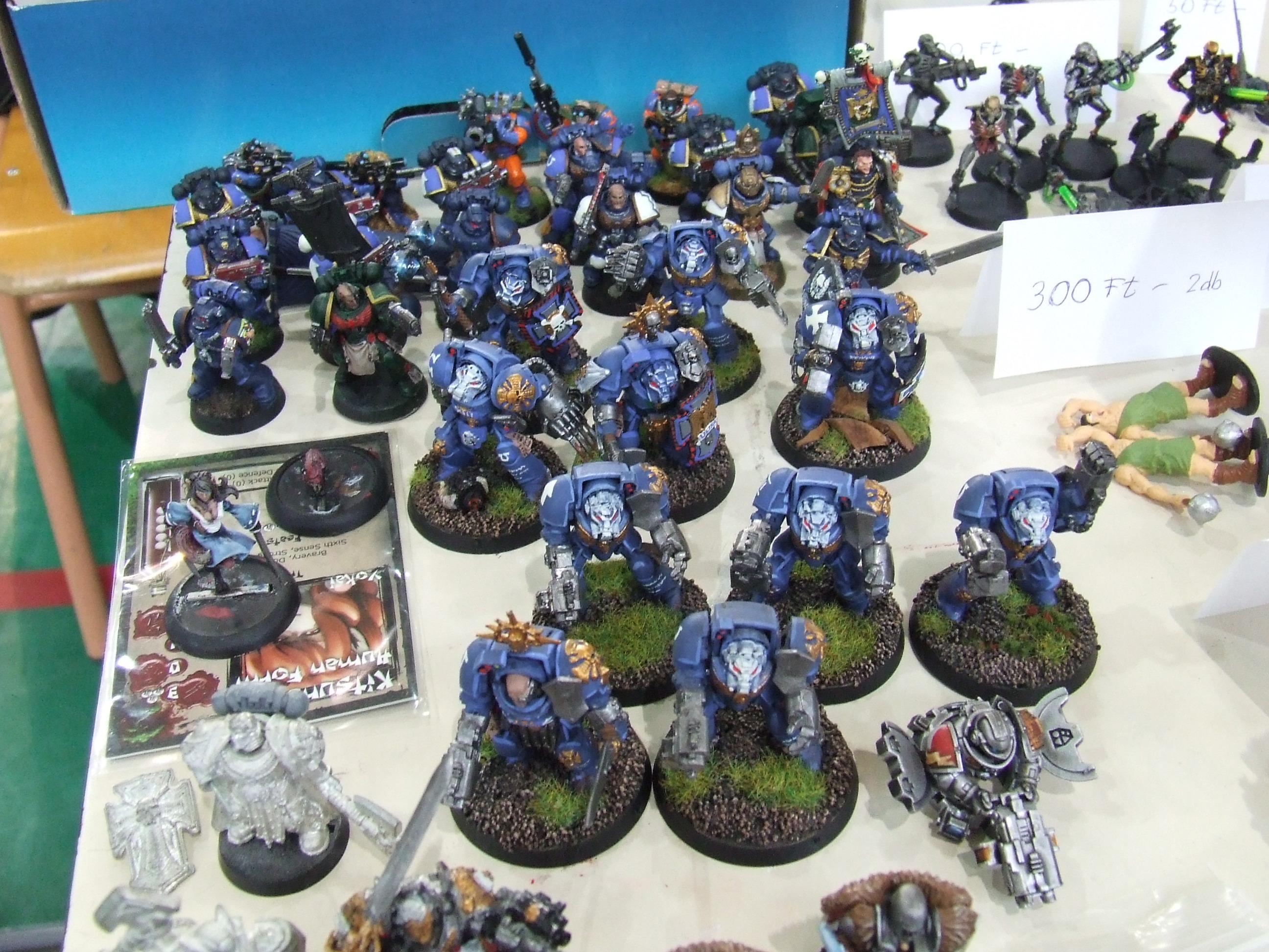 What Is Warhammer 40,000 — And Are You Allowed In
