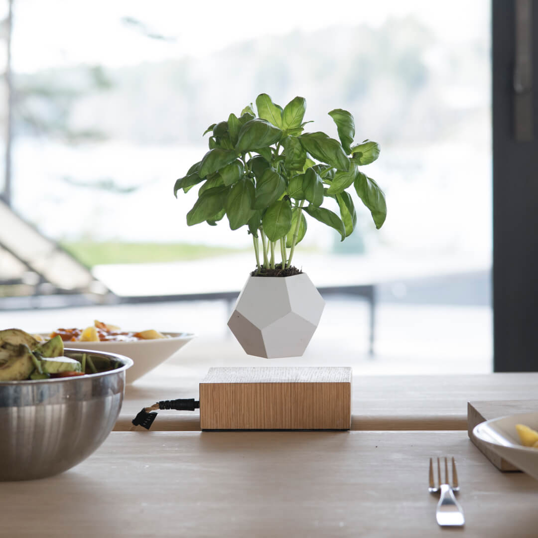 Floating planter rotating in a kitchen setting