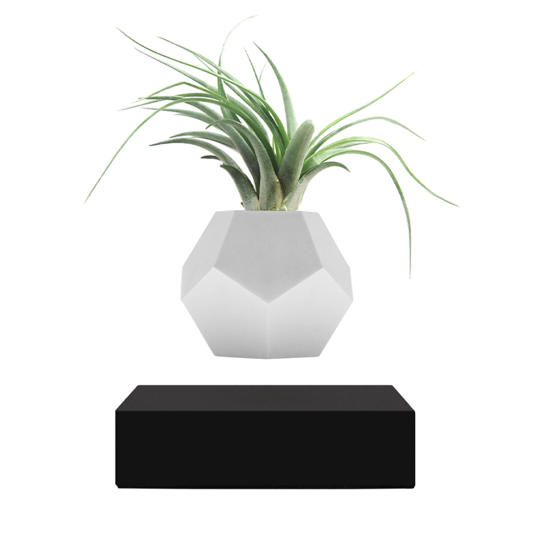 Is Levitating Desk Decor Worth It? Ranked (2026)